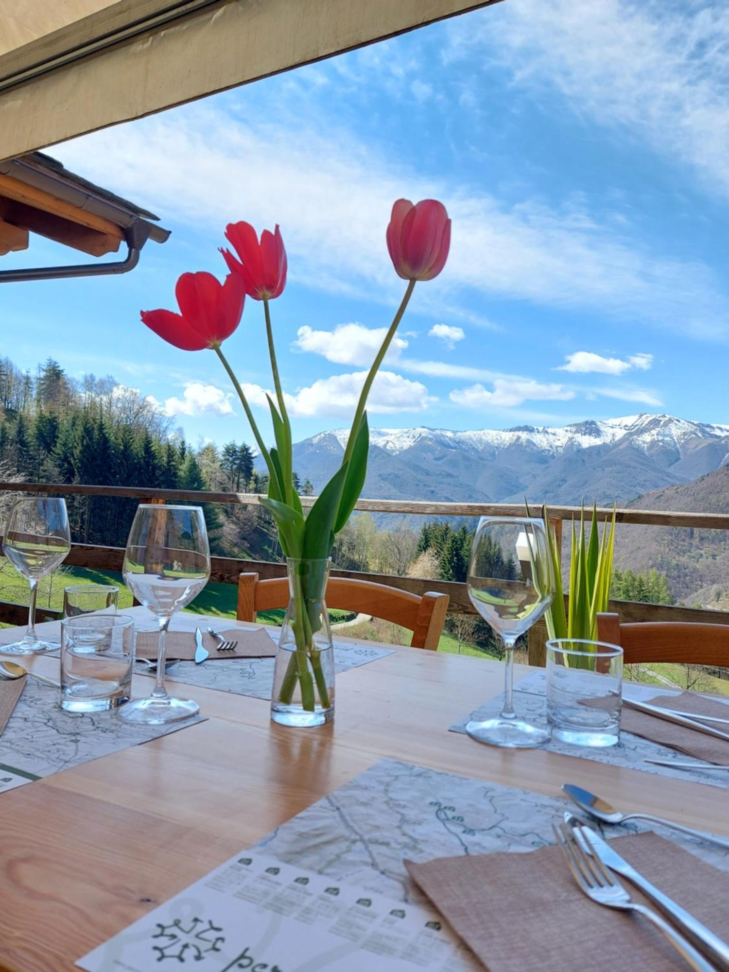 Locanda Il Campo Della Quercia San Damiano Macra Экстерьер фото